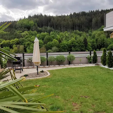 Wellness Fewo Szymecki Schonau  Exterior photo